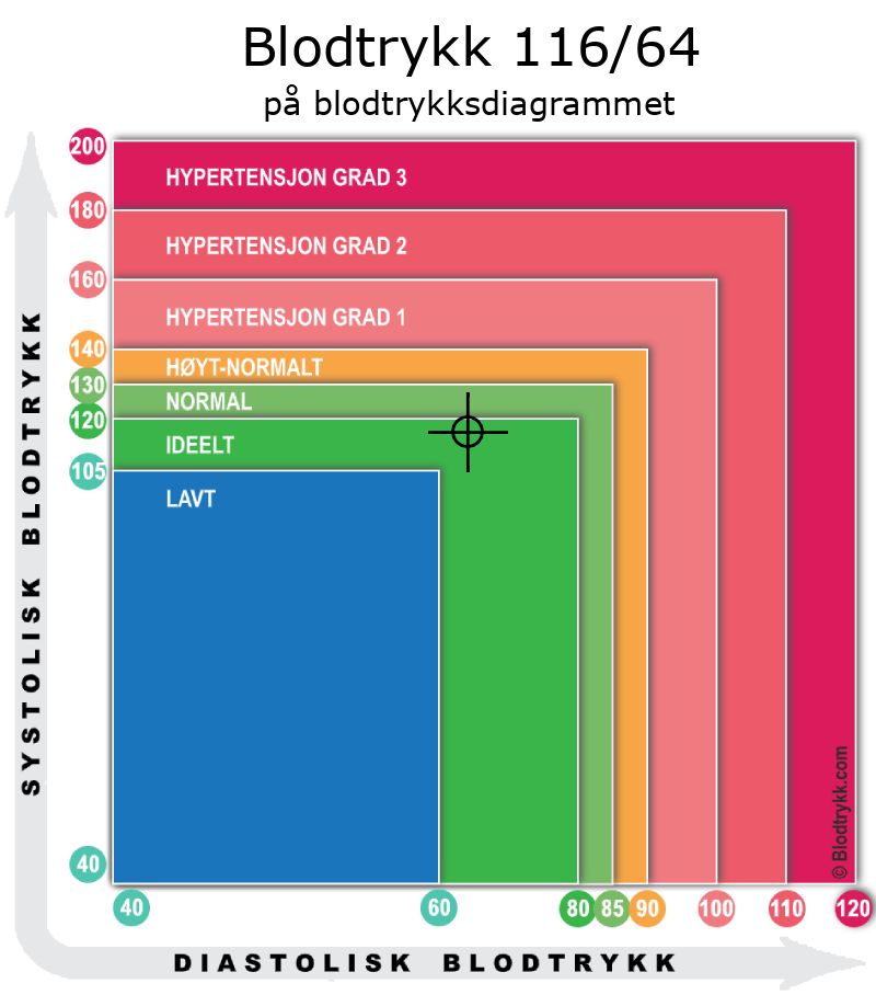 Blodtrykk 116 over 64 på blodtrykksdiagram