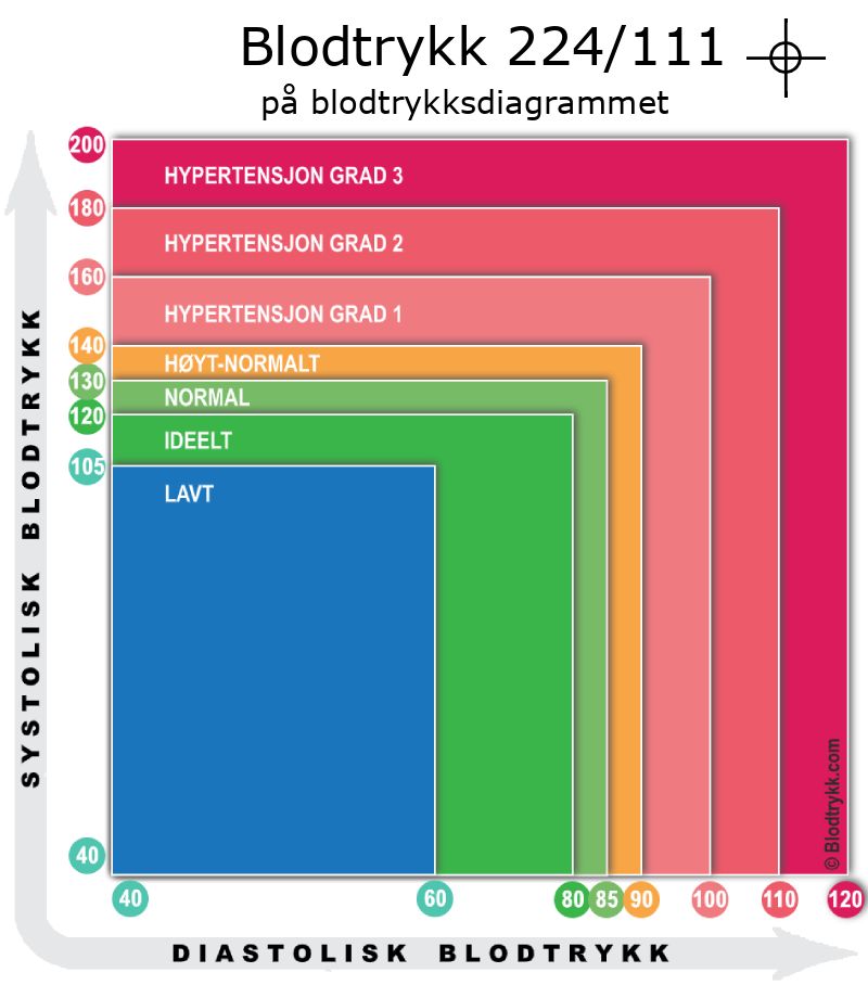 Blodtrykk 224 over 111 på blodtrykksdiagram