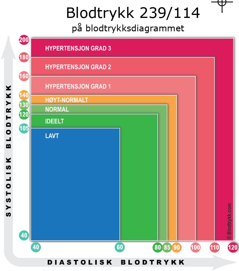 Blodtrykk 239 over 114 på blodtrykksdiagram